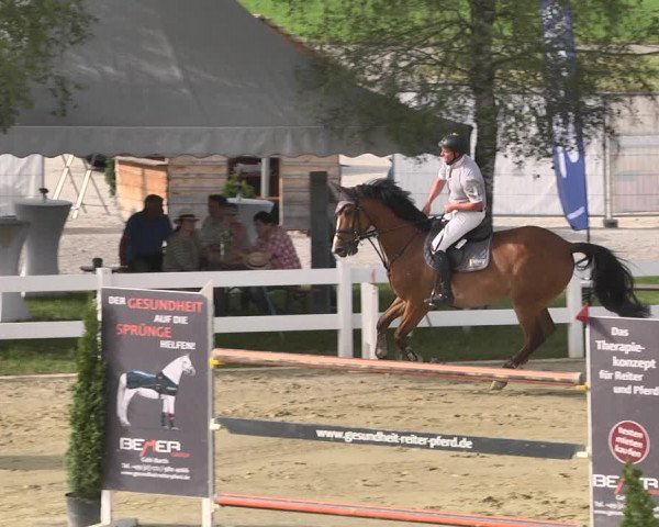 Reitturnier - Leutkirch-Diepoldshofen 2021