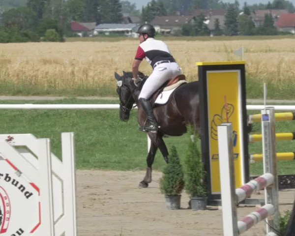 Reitturnier Biebesheim 2021