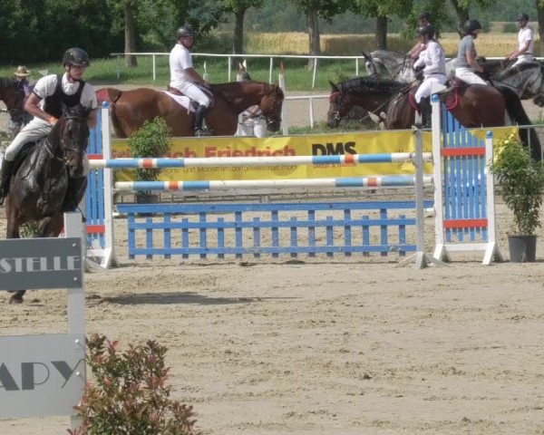 Reitturnier Biebesheim 2021