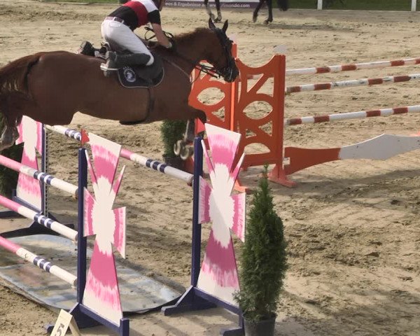 Reitturnier - Leutkirch-Diepoldshofen 2021