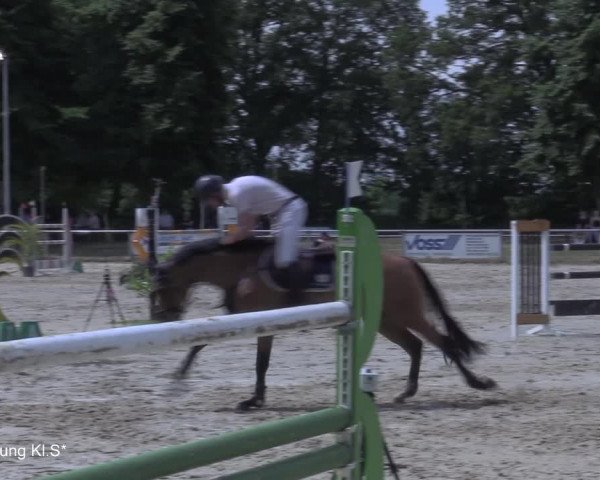 Reitturnier Coesfeld/Lette 2021