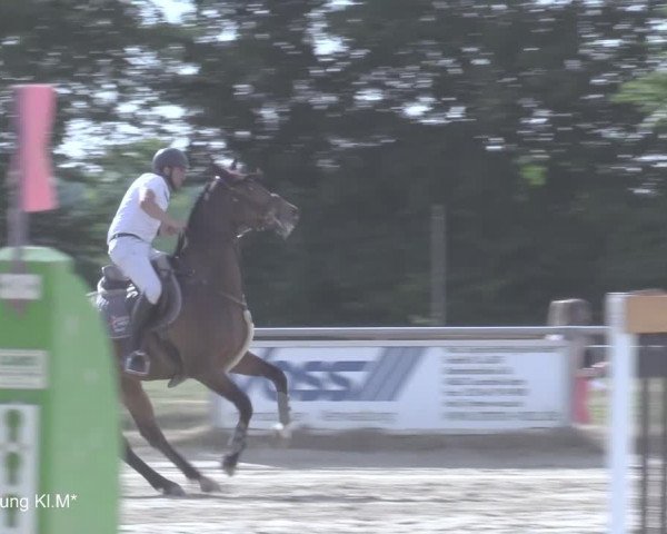 Reitturnier Coesfeld/Lette 2021