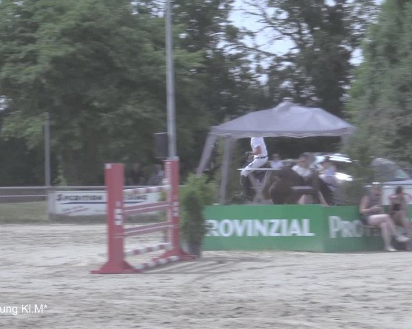 Reitturnier Coesfeld/Lette 2021