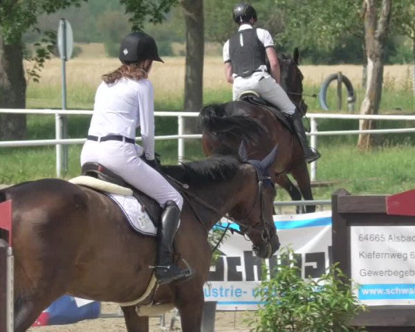 Reitturnier Biebesheim 2021