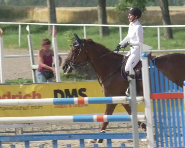 Reitturnier Biebesheim 2021