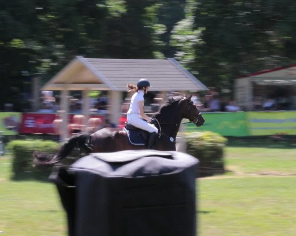 Reitturnier Nienburg 2021