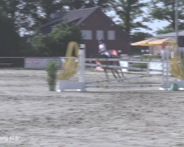 Reitturnier Coesfeld/Lette 2021