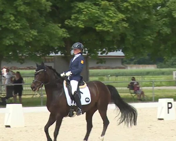 Reitturnier Rot am See- Musdorf 2021