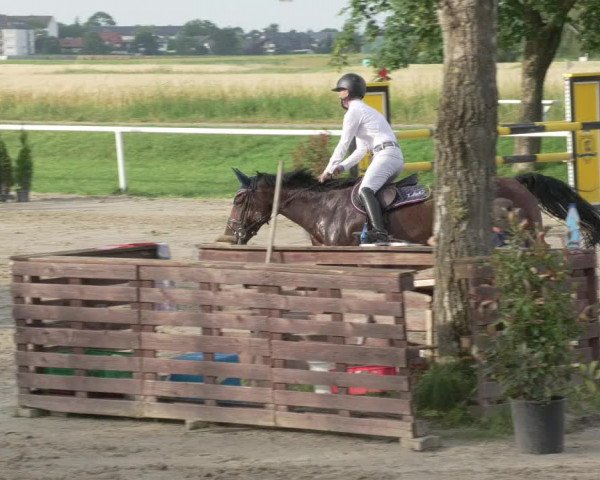 Reitturnier Biebesheim 2021