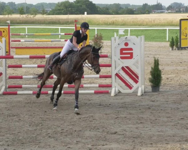 Reitturnier Biebesheim 2021