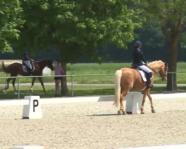 Reitturnier Rot am See- Musdorf 2021