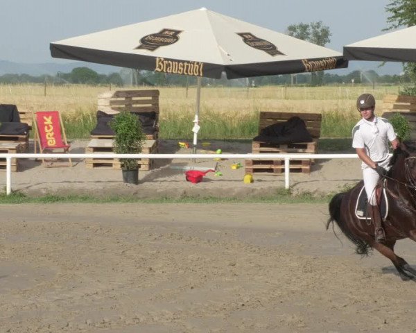 Reitturnier Biebesheim 2021