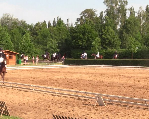 Reitturnier Westeregeln 2021