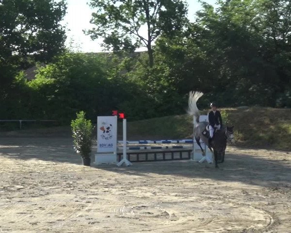 Reitturnier Fröndenberg 2021