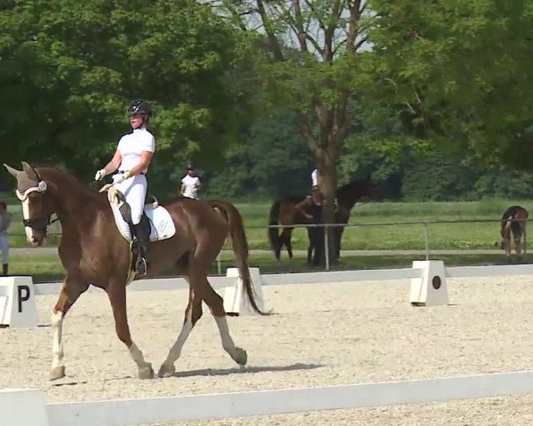 Reitturnier Rot am See- Musdorf 2021