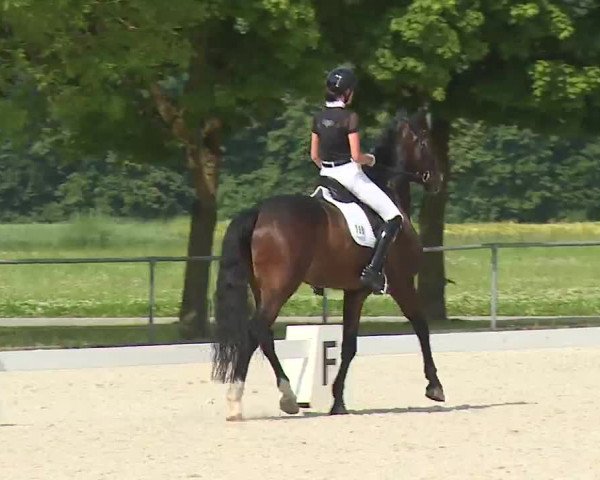 Reitturnier Rot am See- Musdorf 2021