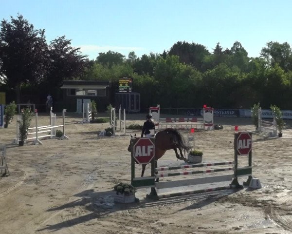 Reitturnier Fröndenberg 2021