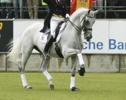 horse Blue Hors Matine (Danish Warmblood, 1997, from Silvermoon)