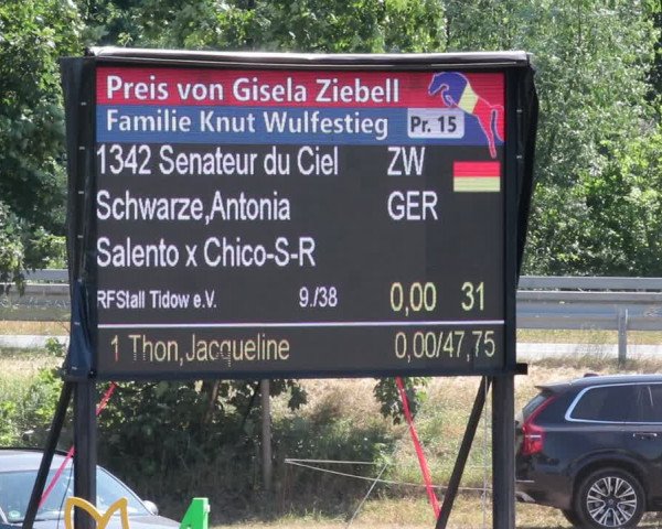 Reitturnier Nienburg 2021