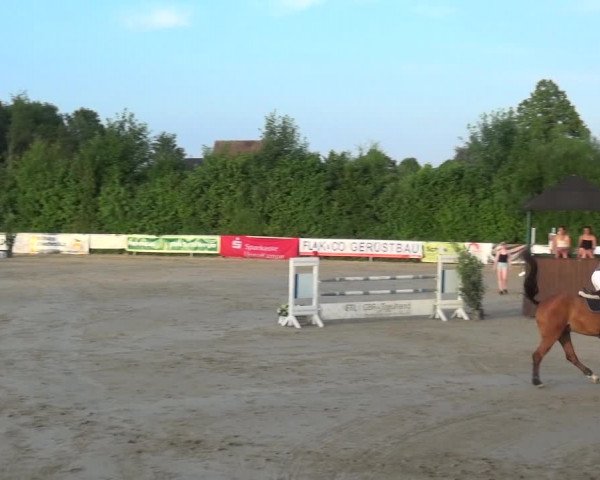 Reitturnier Fröndenberg 2021