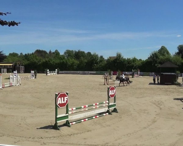 Reitturnier Fröndenberg 2021