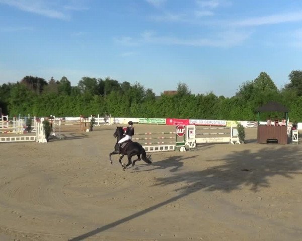 Reitturnier Fröndenberg 2021
