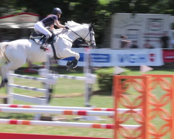 Reitturnier Nienburg 2021