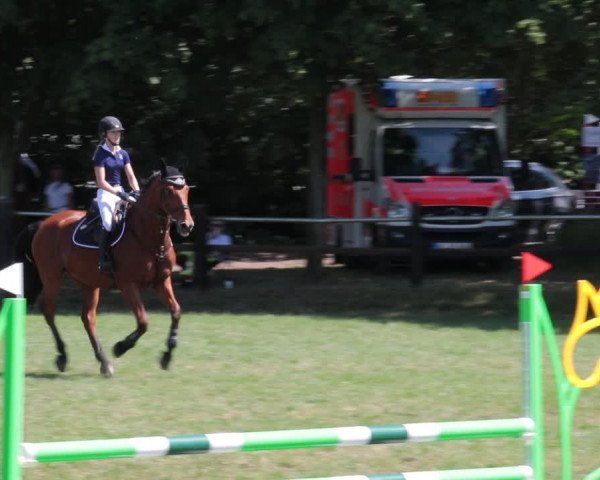 Reitturnier Nienburg 2021