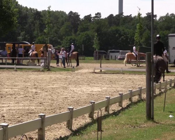 Reitturnier Coesfeld/Lette 2021