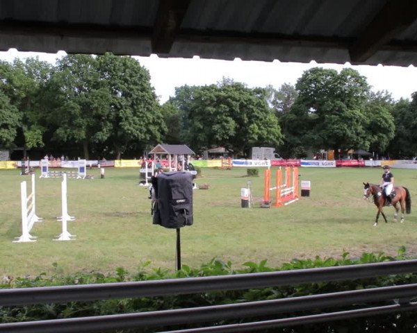 Reitturnier Nienburg 2021