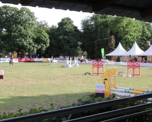 Reitturnier Nienburg 2021