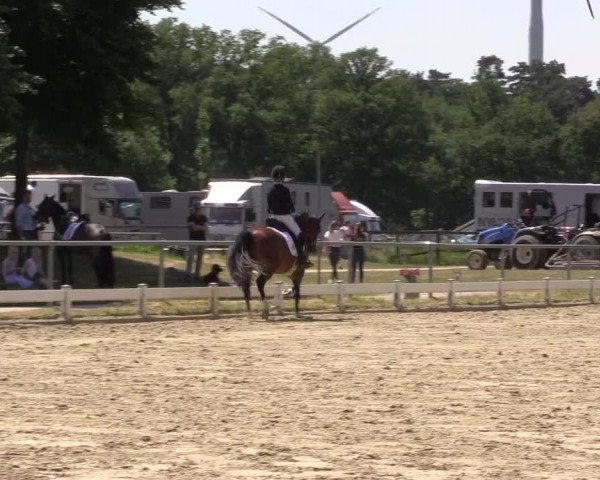 Reitturnier Coesfeld/Lette 2021