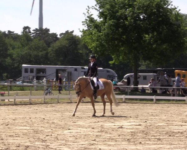 Reitturnier Coesfeld/Lette 2021