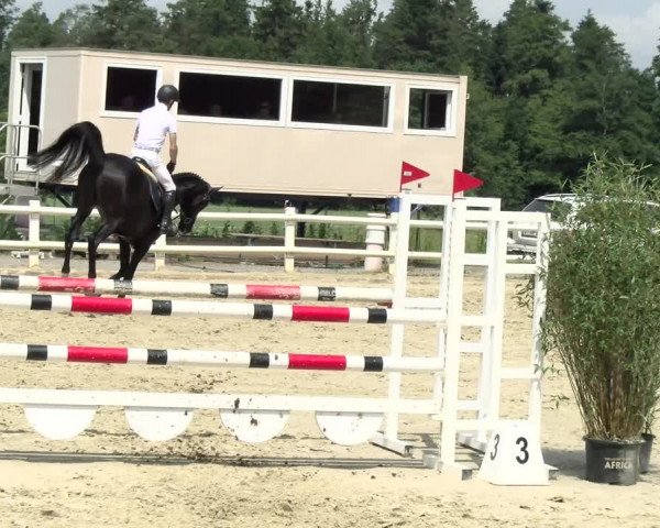 Reitturnier Nordstetten- Horb 2021