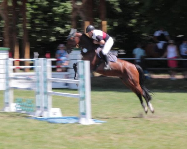 Reitturnier Nienburg 2021