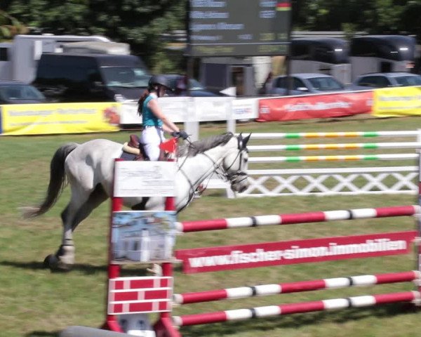 Reitturnier Nienburg 2021