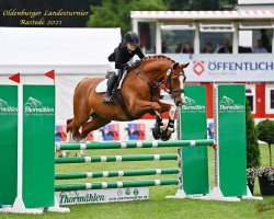 jumper Qalito (Oldenburg, 2000, from Quattro B)