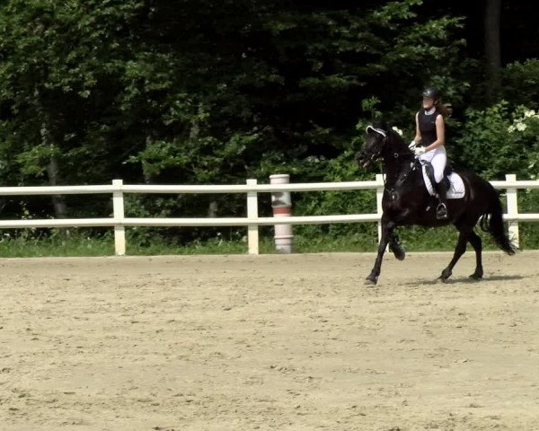 Reitturnier Nordstetten- Horb 2021