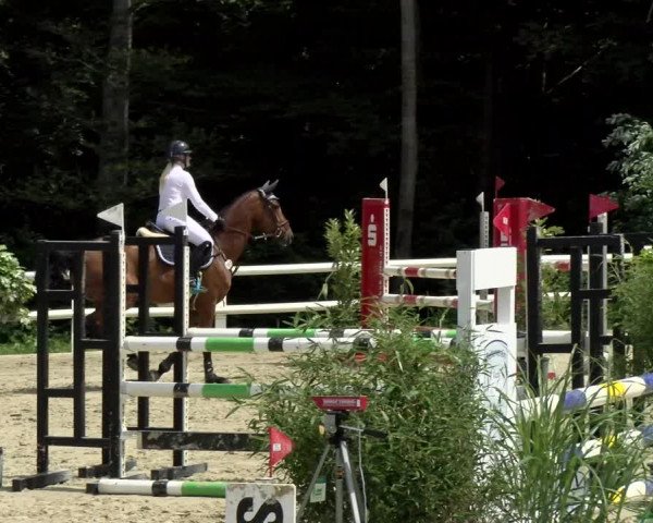 Reitturnier Nordstetten- Horb 2021