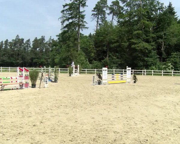 Reitturnier Nordstetten- Horb 2021