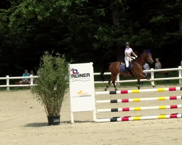 Reitturnier Nordstetten- Horb 2021