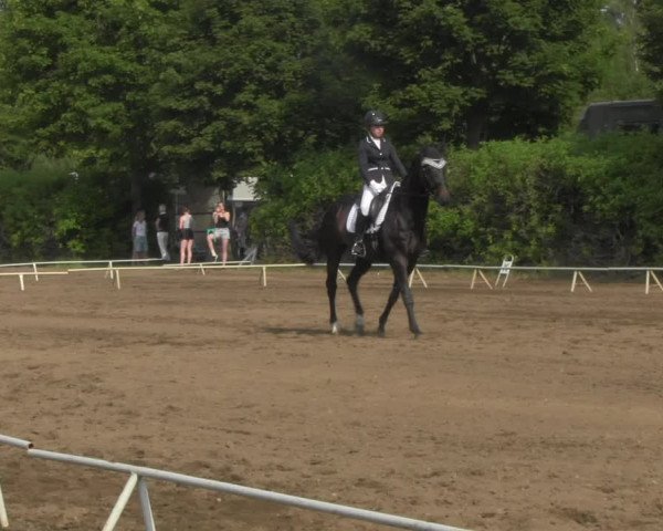 Reitturnier Westeregeln 2021
