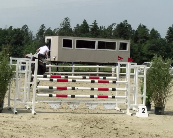 Reitturnier Nordstetten- Horb 2021