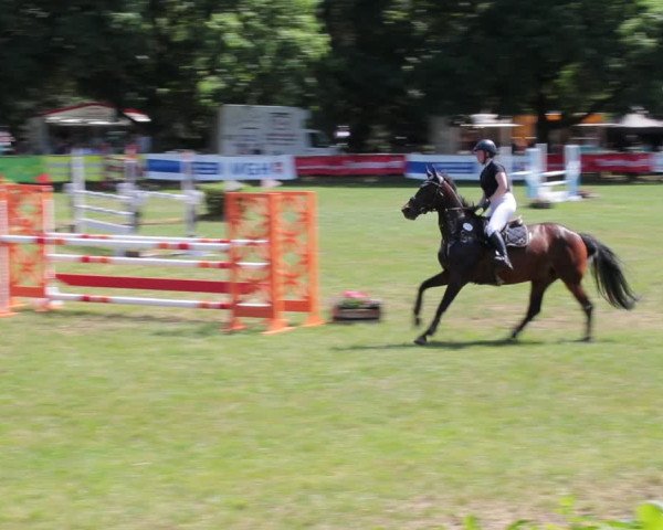 Reitturnier Nienburg 2021