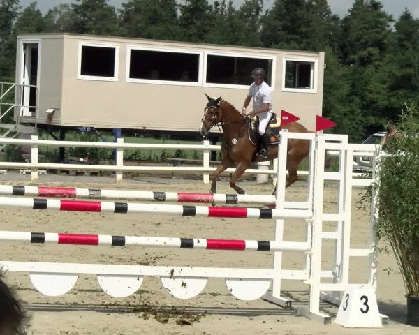 Reitturnier Nordstetten- Horb 2021