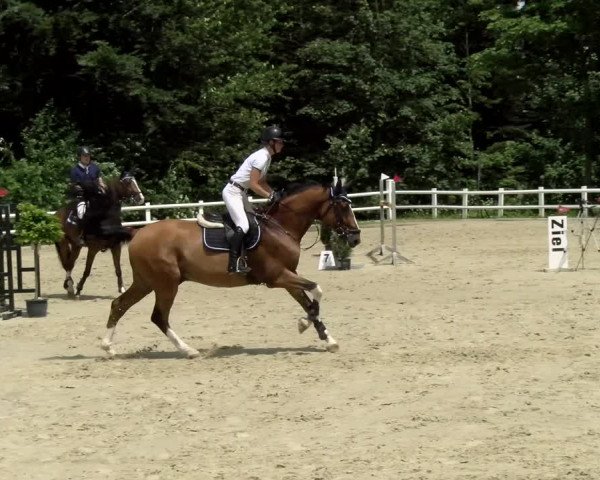 Reitturnier Nordstetten- Horb 2021