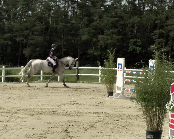 Reitturnier Nordstetten- Horb 2021