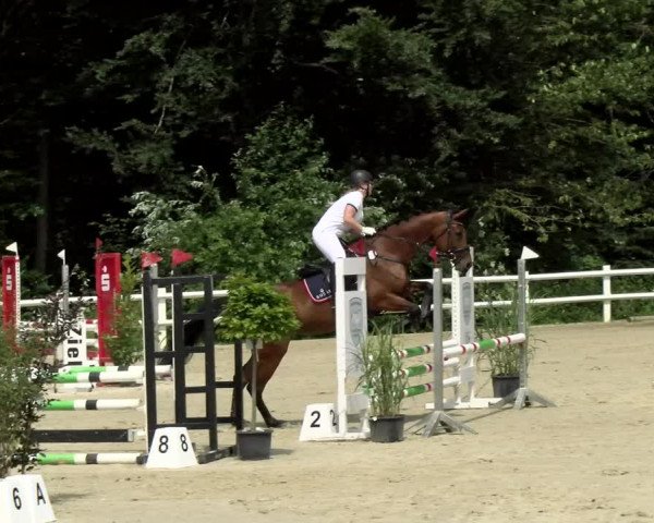 Reitturnier Nordstetten- Horb 2021