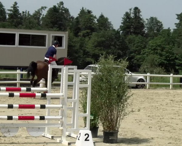 Reitturnier Nordstetten- Horb 2021