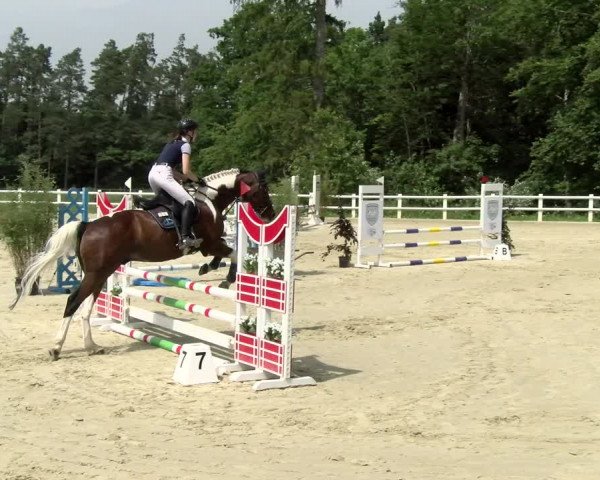Reitturnier Nordstetten- Horb 2021